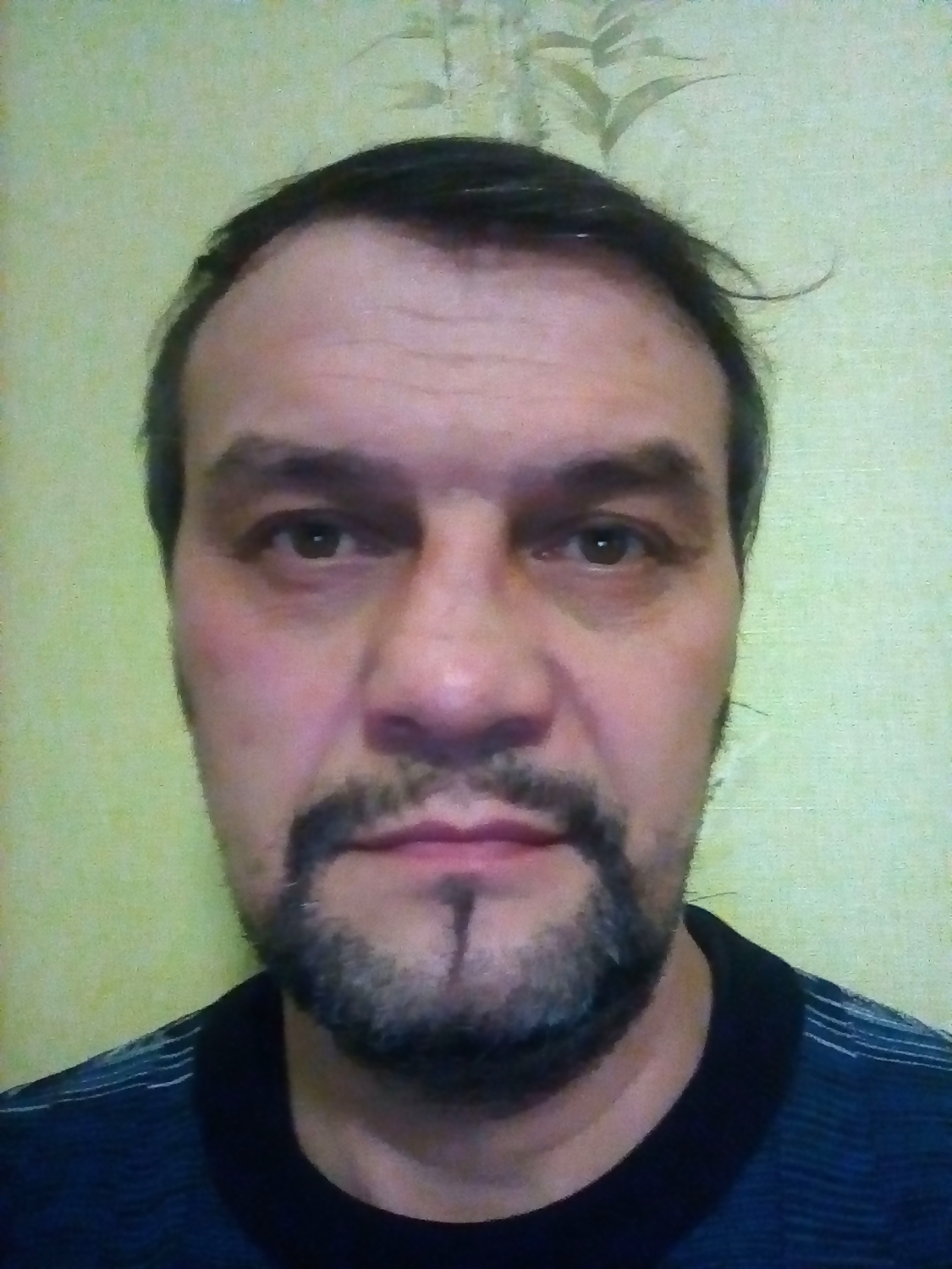 Шибаев Андрей Антонович Шибаев Андрей Антонович